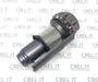 Gruppo Ciclone Con Filtro Metallico Dyson Sv14, V11 Senza Motore Corpo Grande